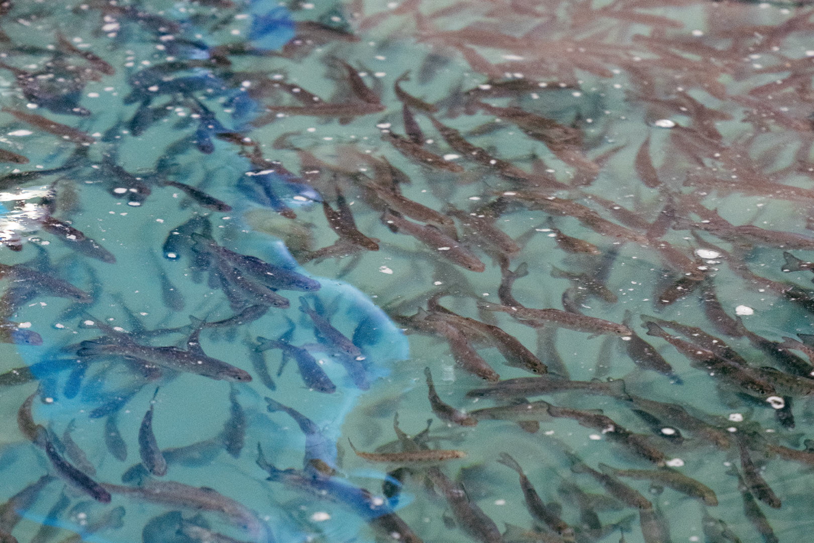 Hyvä kiertää kolmikantayhteistyössä