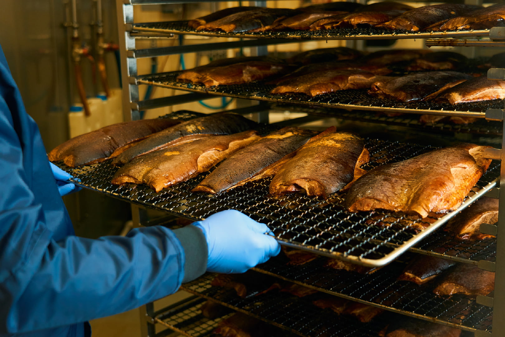 Kasvukiitoon hylätystä tehdasmiljööstä