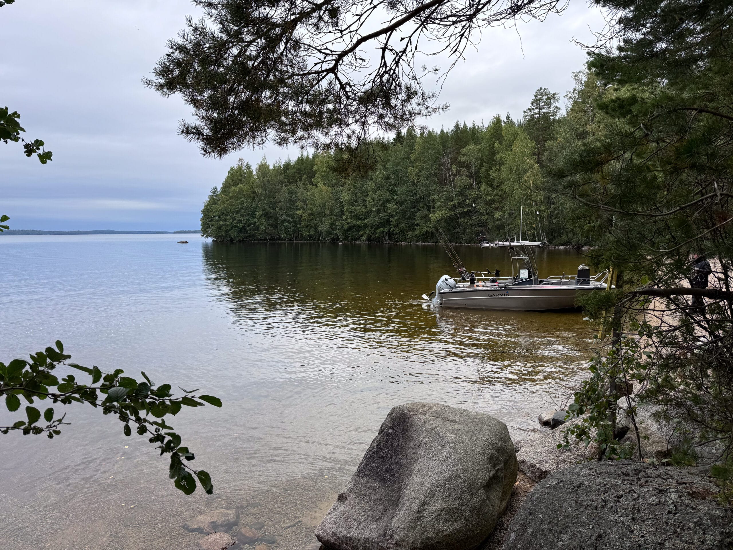 Katoava järvilohi –dokumentti nyt YouTubessa