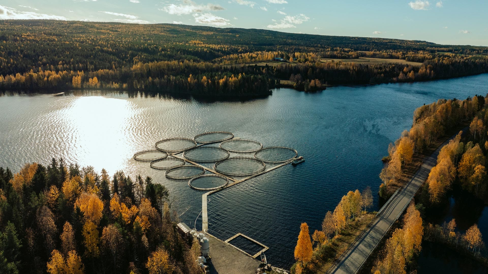 Kotimaista kalaa entistä varmemmin pöytään – Kalavapriikki ja Kalankasvatus Vääräniemi syventävät kumppanuuttaan osakekaupoilla