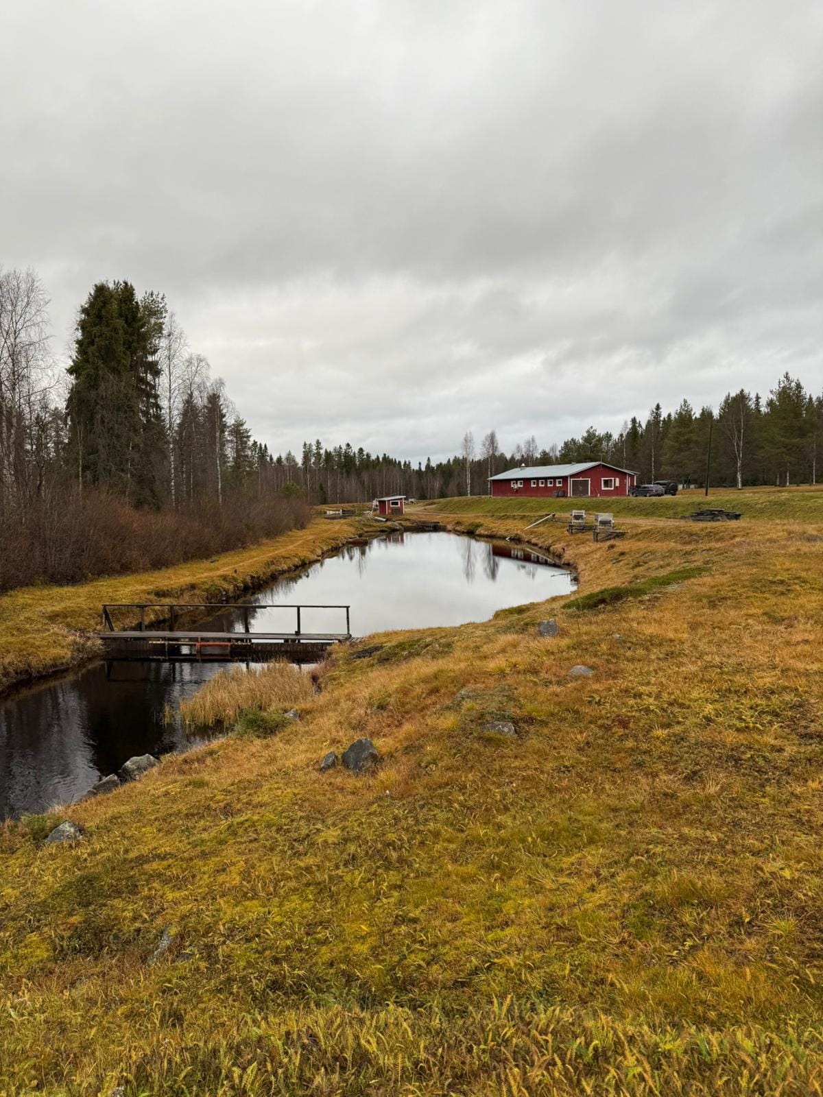 Perinteikäs Lylyjoen Lohi jatkaa toimintaansa Kalankasvatus Vääräniemi Oy:n omistuksessa